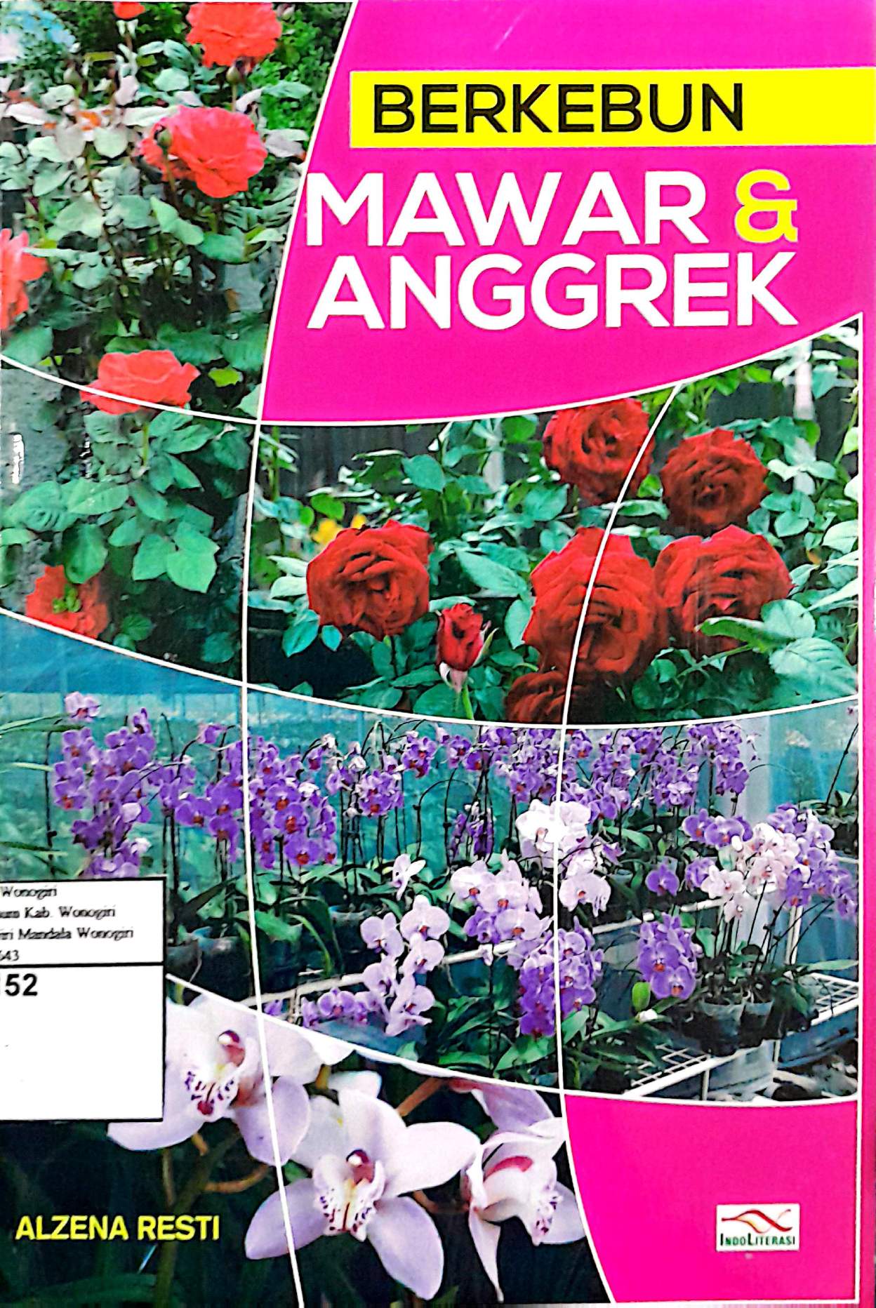 Berkebun Mawar & Anggrek