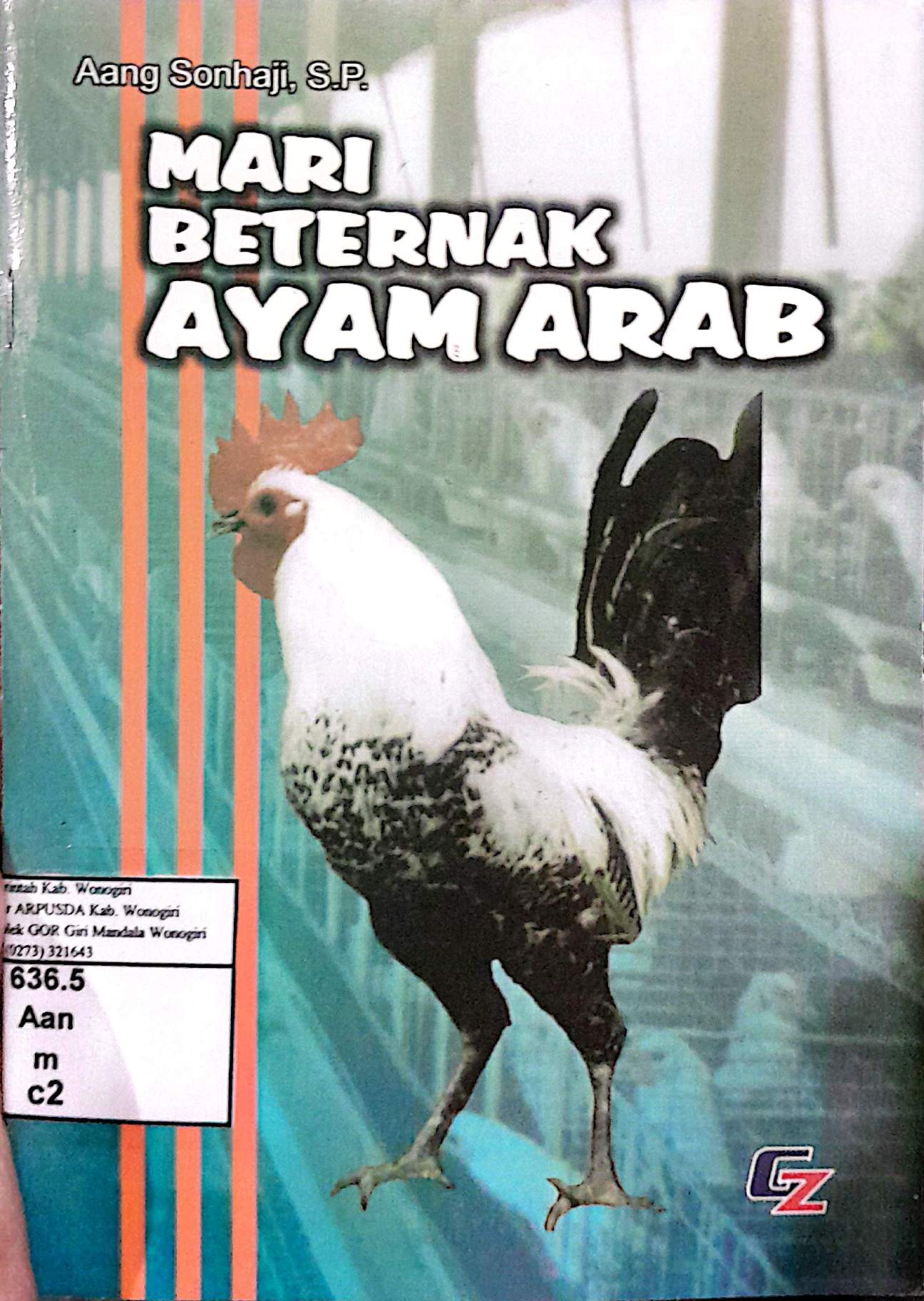 Mari Beternak Ayam Arab