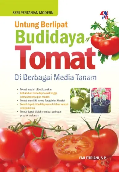 Untung Berlipat Budidaya Tomat di Berbagai Media Tanam