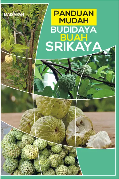 Panduan Mudah
