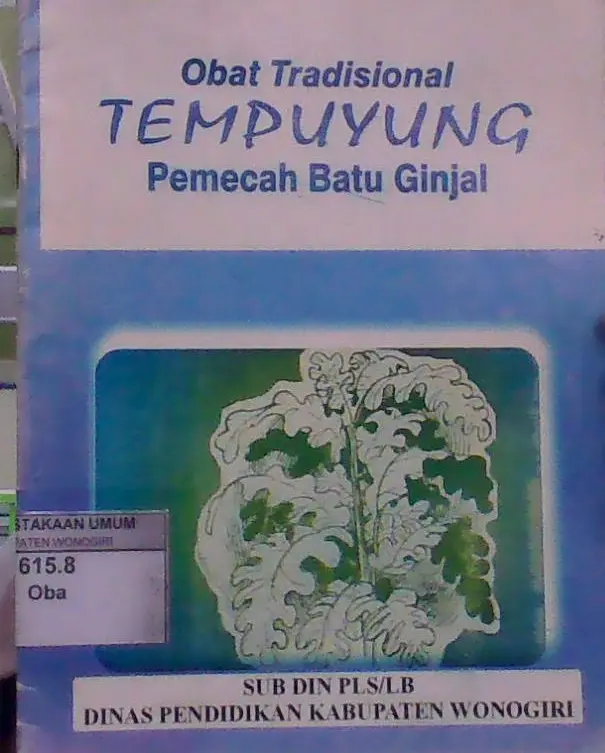 Obat Tradisional Tempuyung