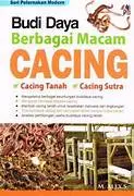 Budi Daya Berbagai Macam Cacing