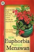 Agar Euphorbia Tampil Menawan