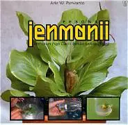Pesona Jenmanii