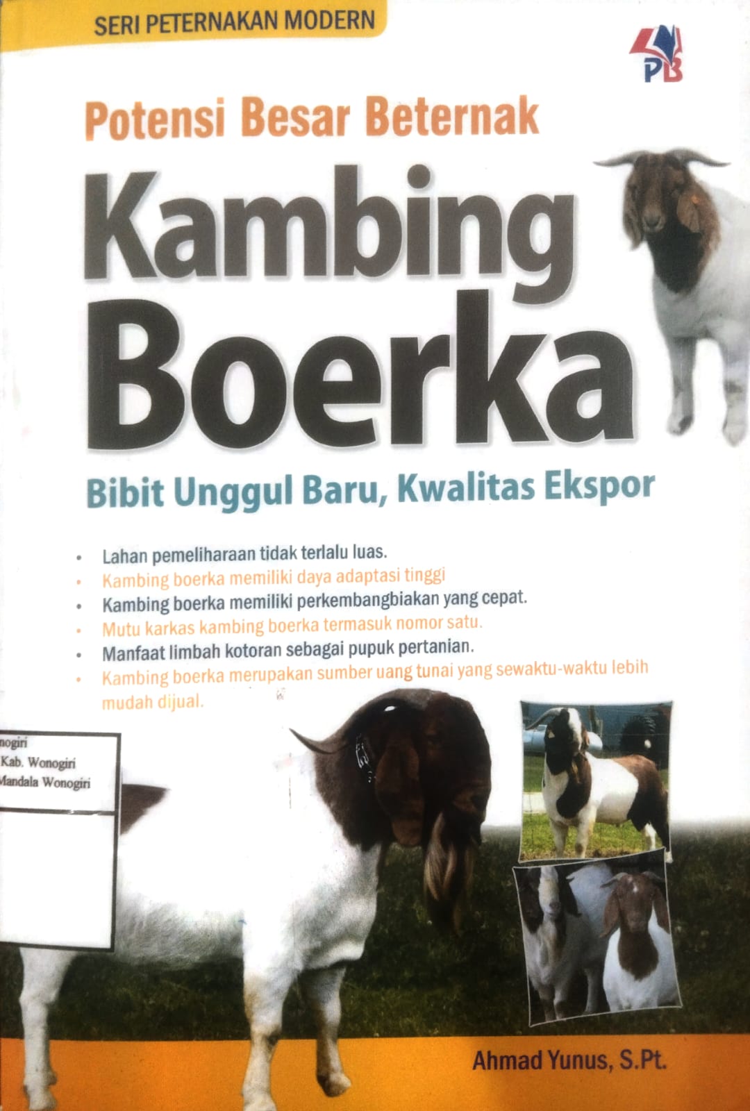 Potensi Besar Beternak Kambing Boerka