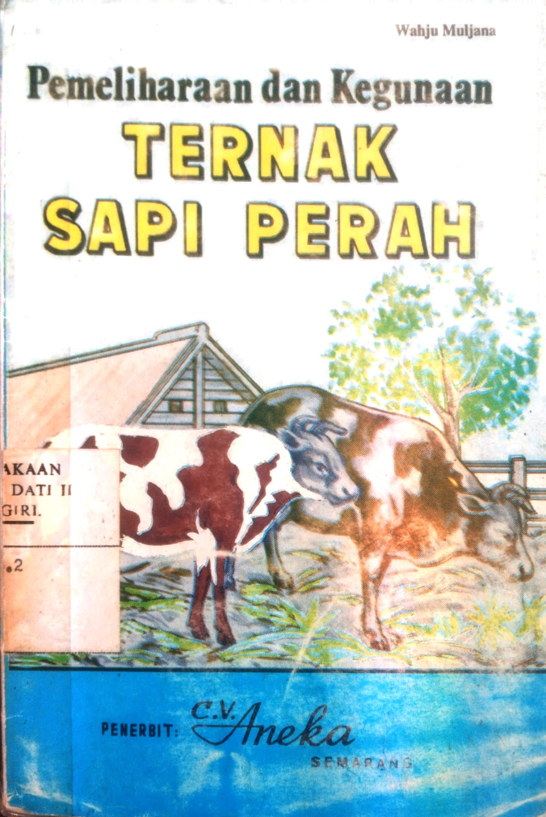 Pemeliharaan dan Kegunaan Ternak Sapi Perah