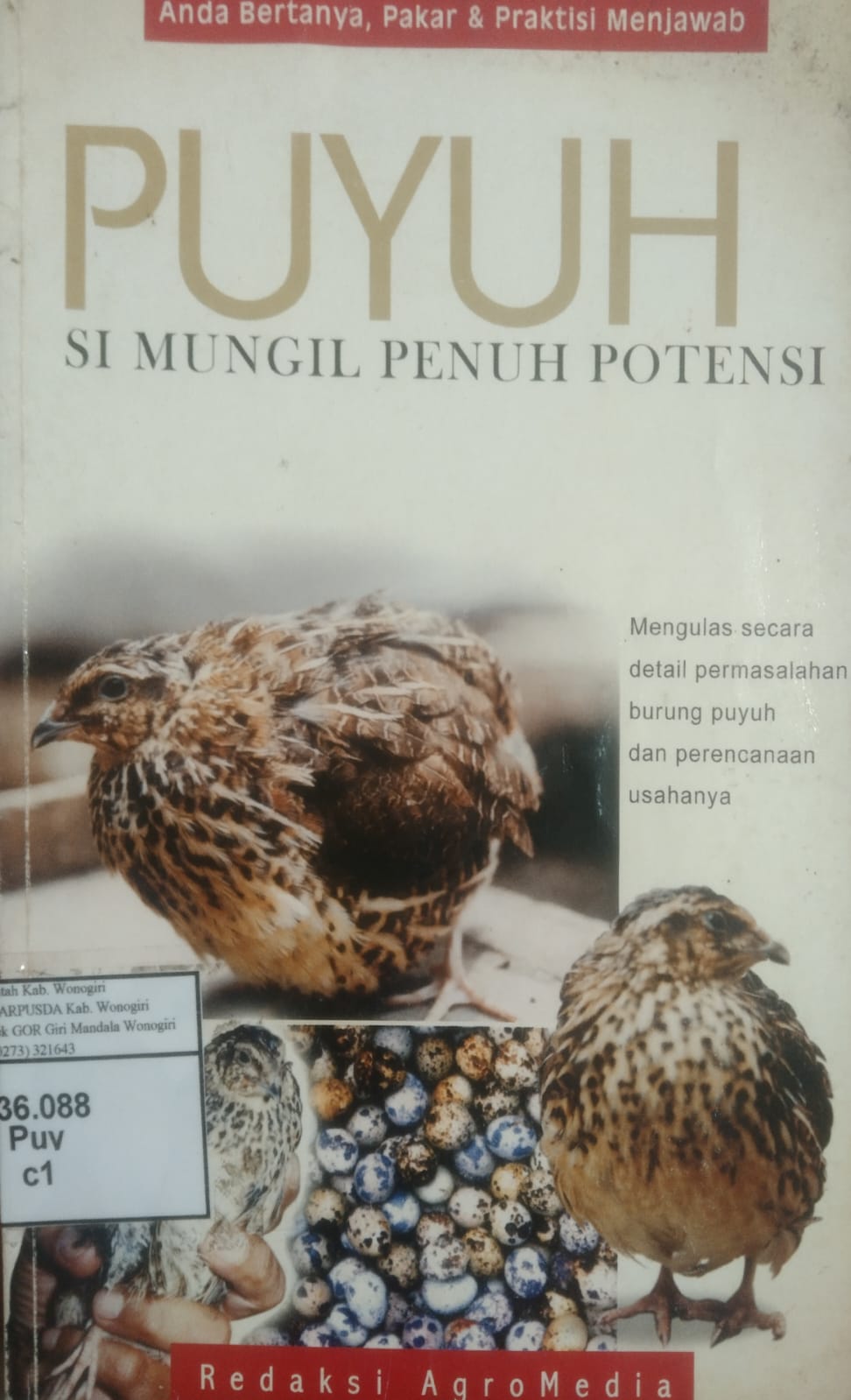 Puyuh