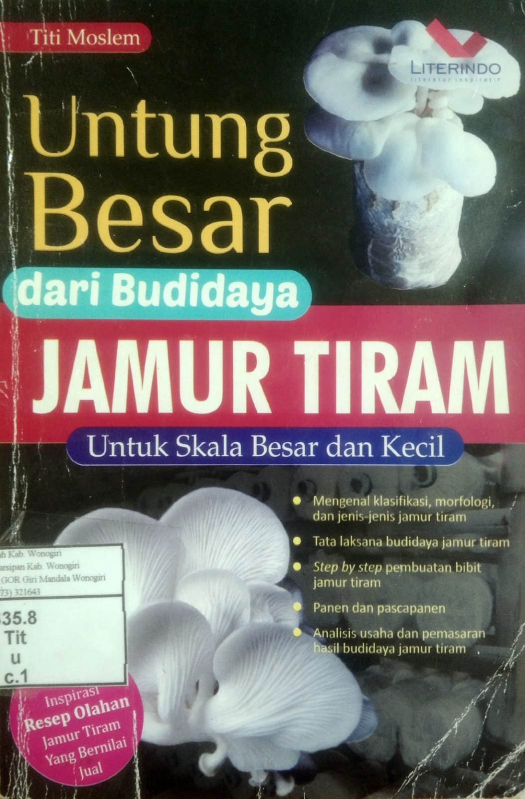Untung Besar dari Budidaya Jamur Tiram