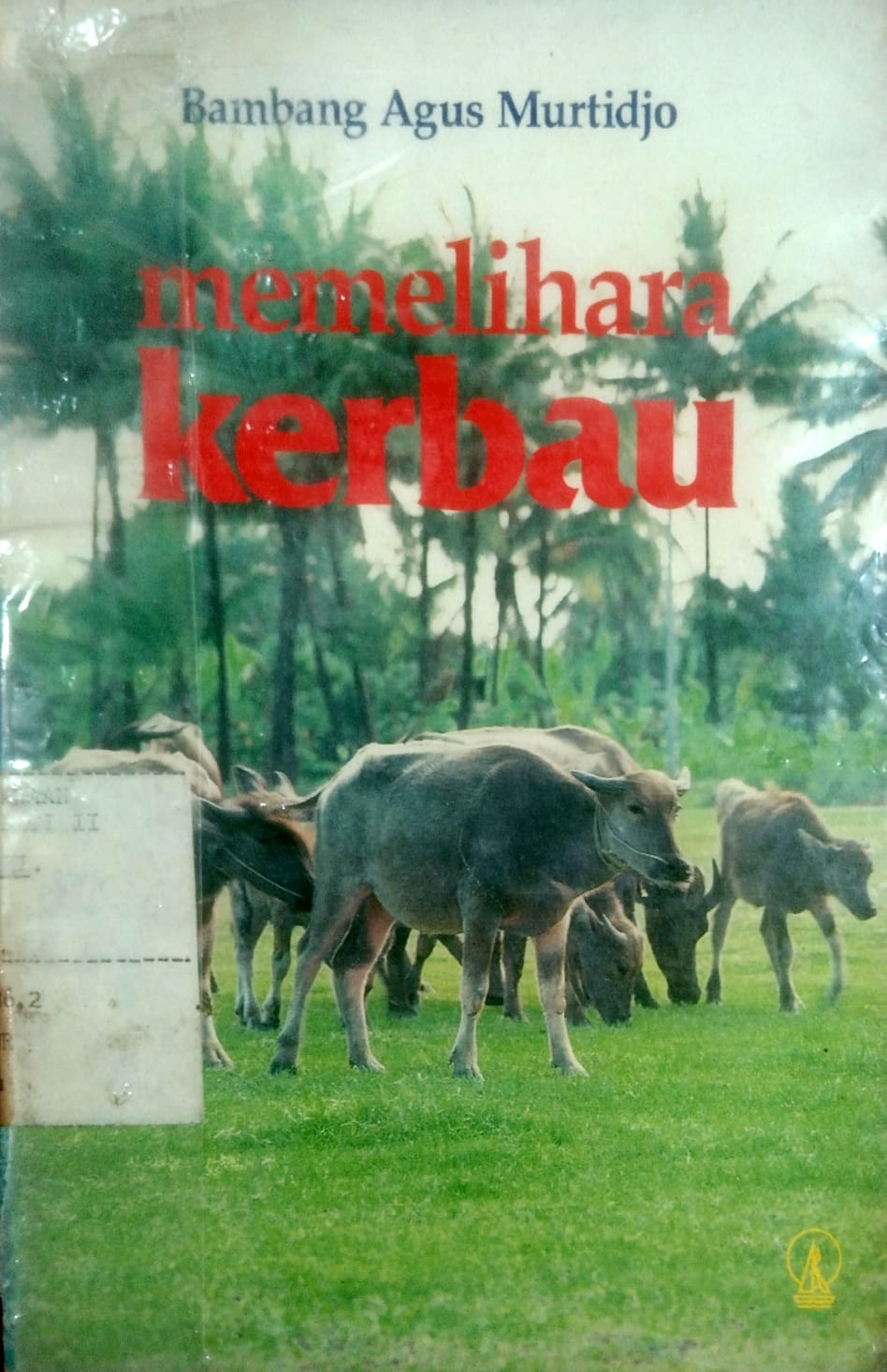 Memelihara Kerbau
