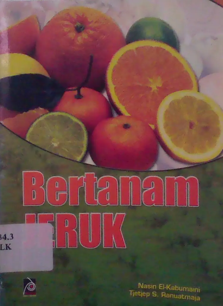 Bertanam Jeruk