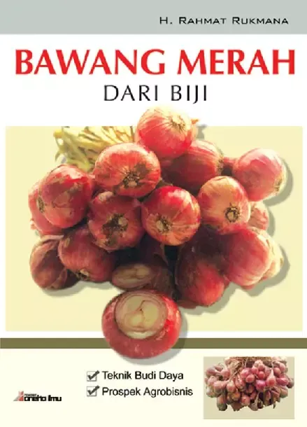 Bawang Merah dari Biji