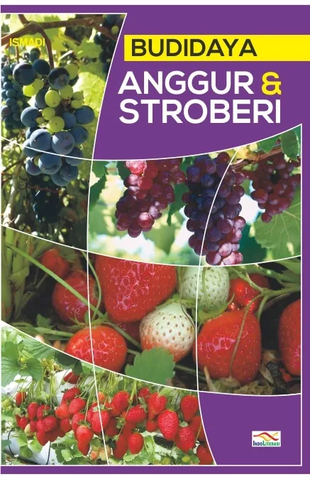 Budidaya Anggur & Stroberi