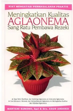 Meningkatkan Aglaonema Sang Ratu Pembawa Rezeki