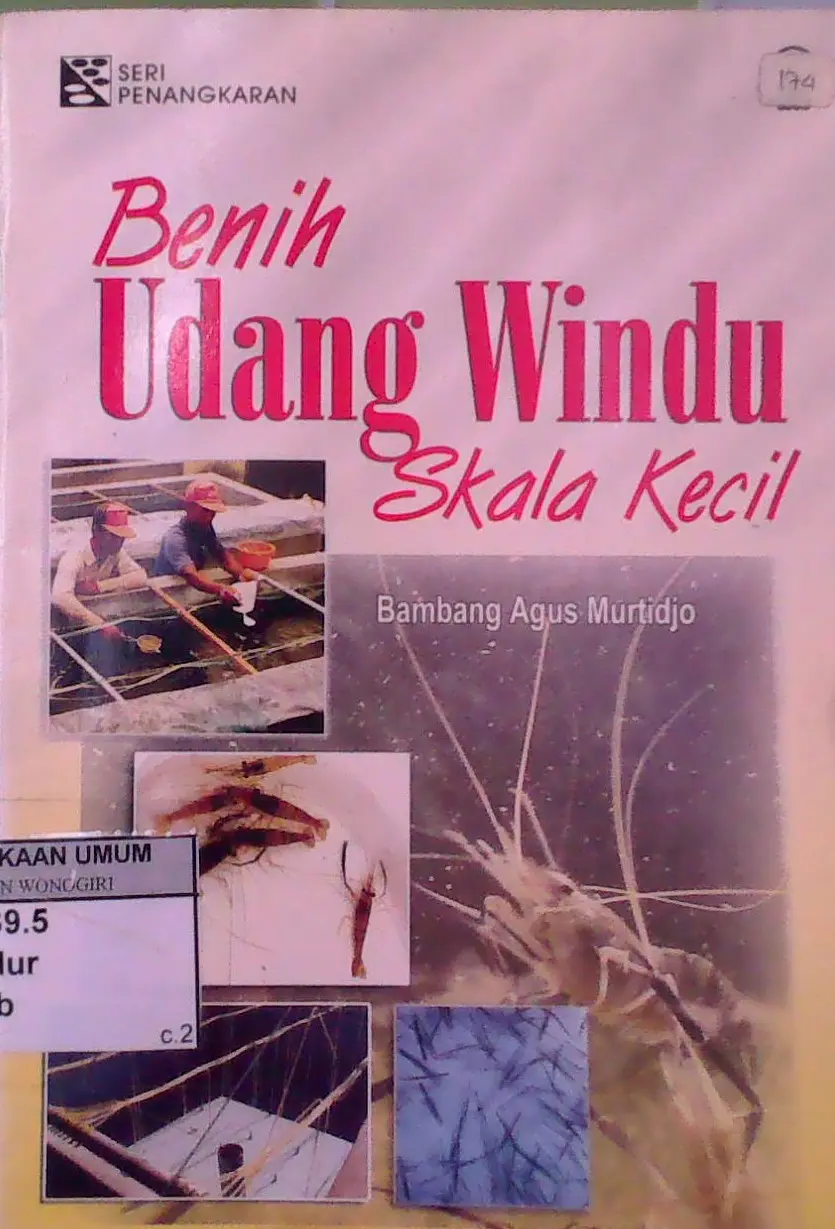 Benih Udang Windu Skala Kecil