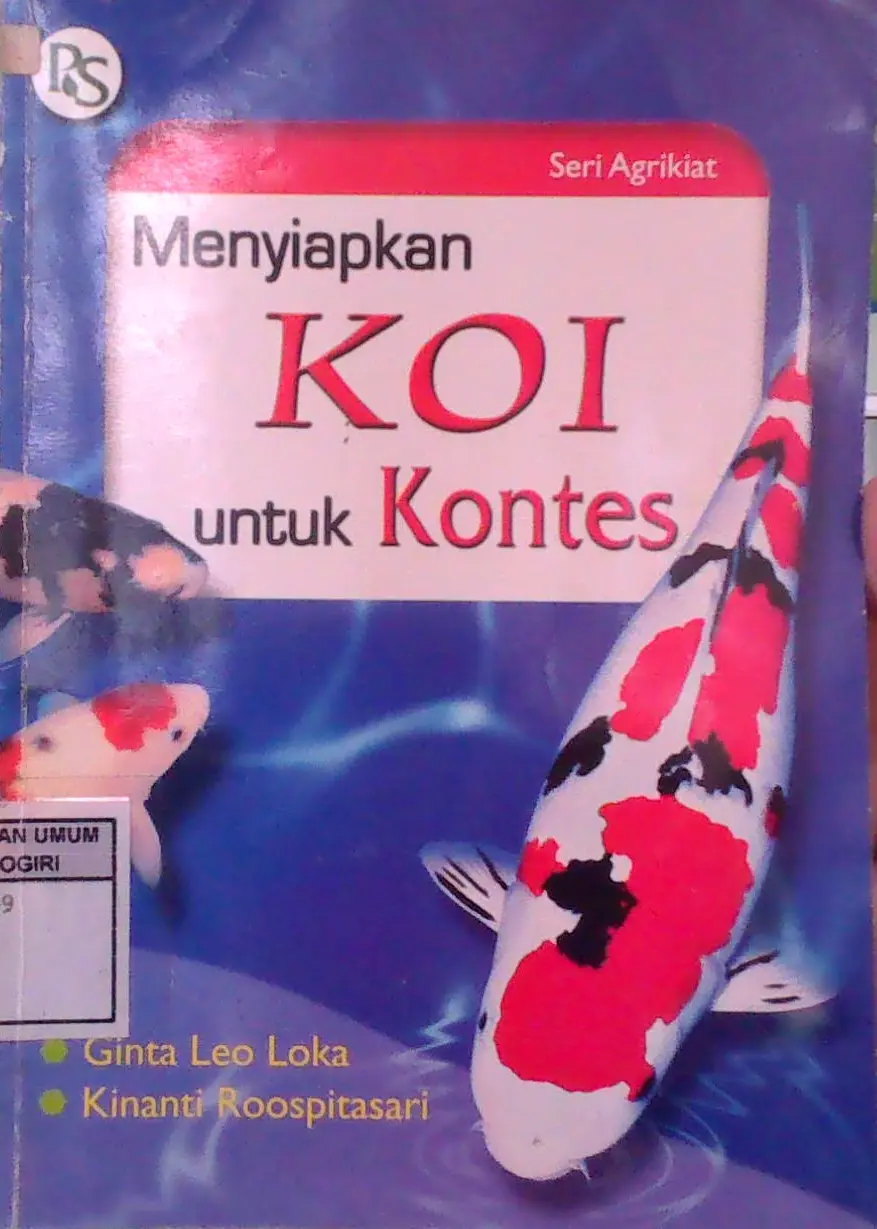 Menyiapkan Koi Untuk Kontes