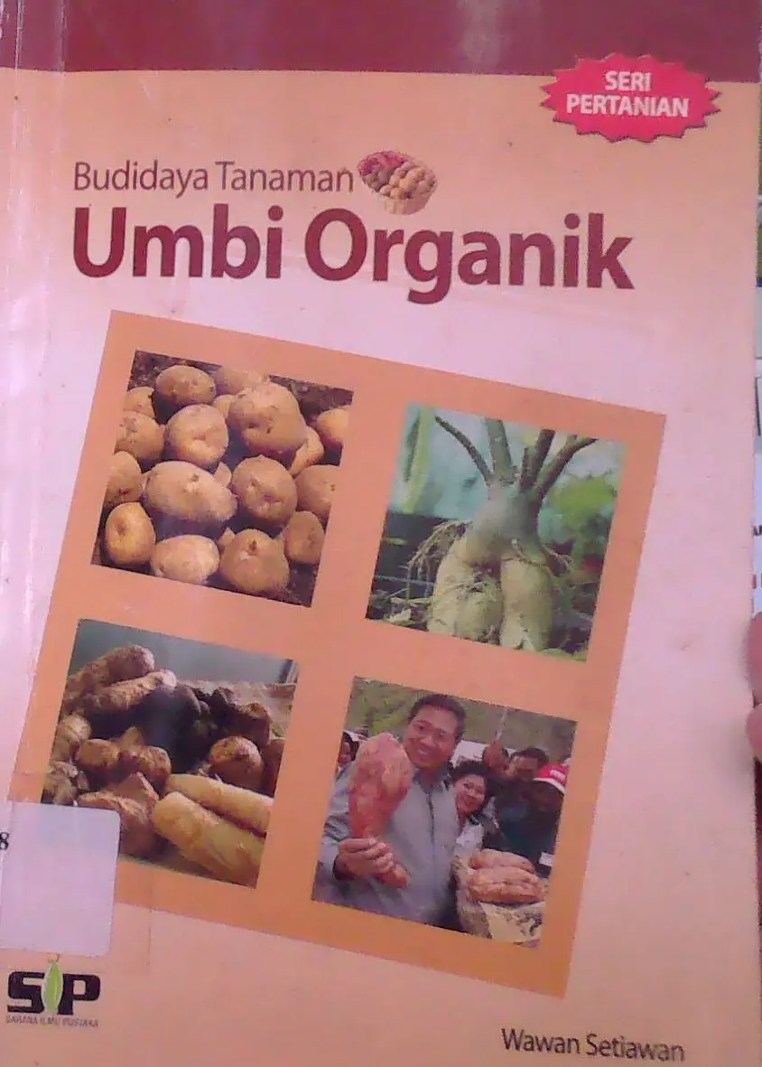 Budidaya Tanaman Umbi Organik
