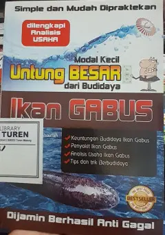 Modal Kecil Untung Besar Dari Budidaya Ikan Gabus