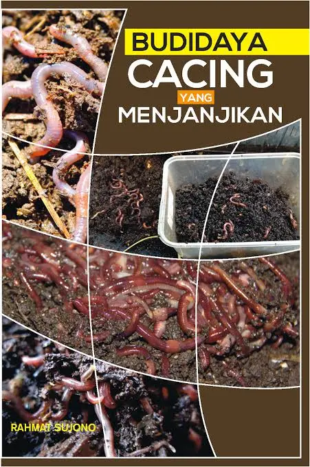Budidaya Cacing Yang Menjajikan