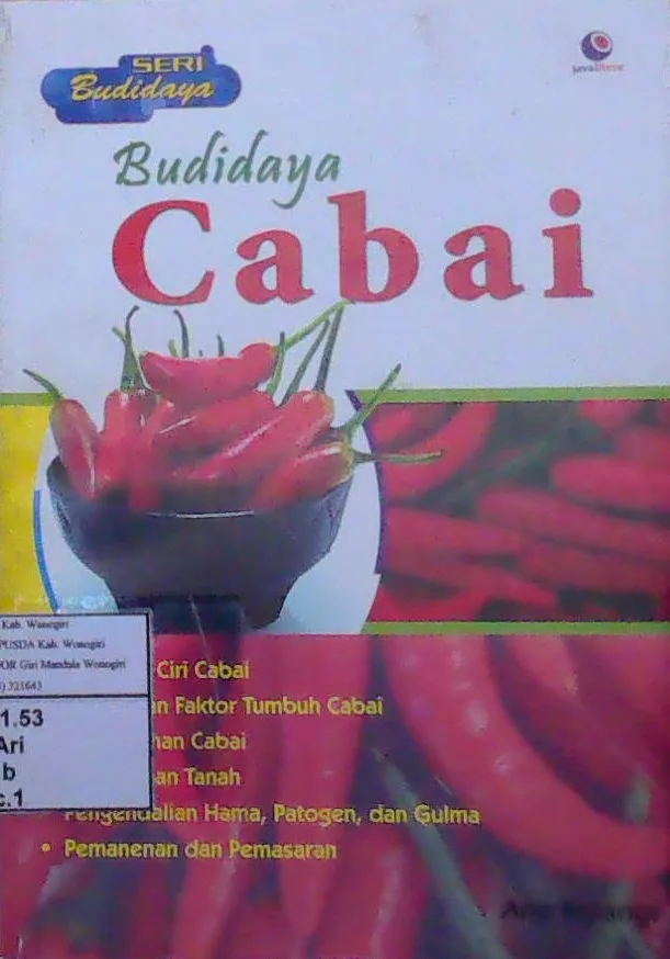 Budidaya Cabai