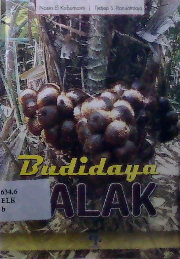 Budidaya Salak