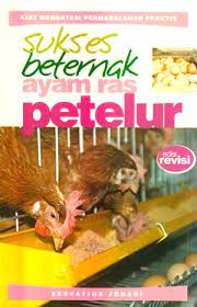 Sukses Beternak Ayam Ras Petelur