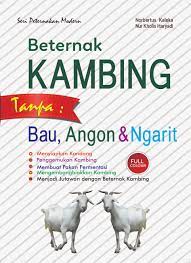 Beternak Kambing