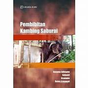 Pembibtan Kambing Samburai