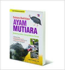 Sukses Budidaya Ayam Mutiara