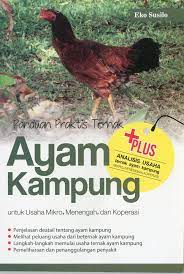 Panduan Praktis Ternak Ayam Kampung