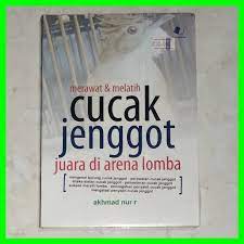 Merawat & Melatih Cucak Jenggot Juara di Arena Lomba