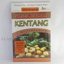 Sukses Bertanam Kentang Dari Nol Sampai Panen