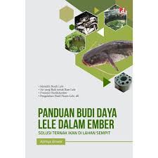 Panduan Budi daya Lele Dalam Ember