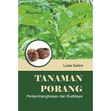 Tanaman Porang