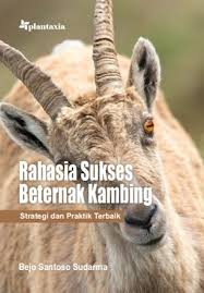 Rahasia Sukses Beternak Kambing