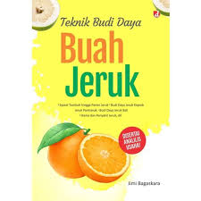 Teknik Budi Daya Buah Jeruk