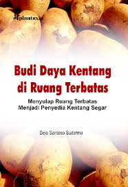 Budi Daya Kentang di Ruang Terbatas