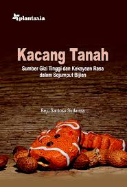 Kacang Tanah